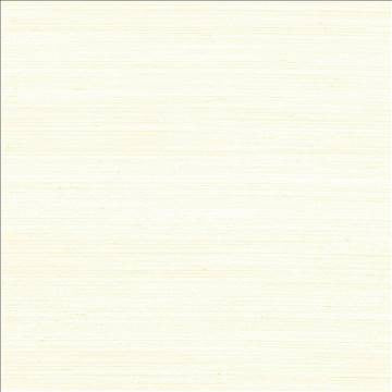 Anantara Cream by Kasmir Fabric 5059 100% Polyester INDIA 30,000 Wyzenbeek Double Rubs H: N/A, V: N/A 55 - 56 - Fabric Carolina - Kasmir