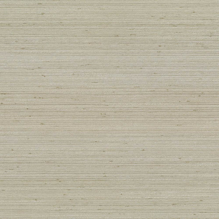 Anantara Fog by Kasmir Fabric 5059 100% Polyester
 INDIA </p><p>Repeat: Horizontal: N/A and Vertical: N/A 55 - 56 - Fabric Carolina -