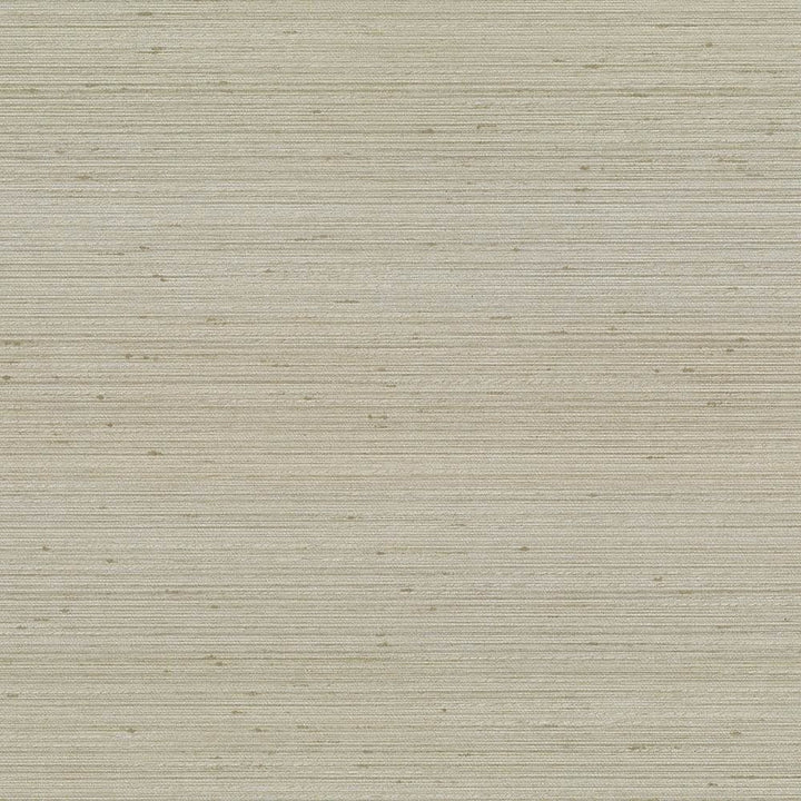 Anantara Fog by Kasmir Fabric 5059 100% Polyester
 INDIA 30,000 Wyzenbeek Double Rubs Horizontal: N/A and Vertical: N/A 55 - Fabric Carolina -