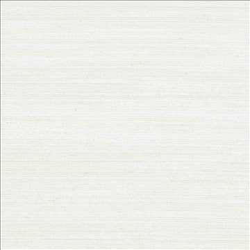 Anantara Linen by Kasmir Fabric 5059 100% Polyester INDIA 30,000 Wyzenbeek Double Rubs H: N/A, V: N/A 55 - 56 - Fabric Carolina - Kasmir