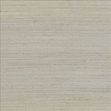 Anantara Natural by Kasmir Fabric 5059 100% Polyester INDIA 30,000 Wyzenbeek Double Rubs H: N/A, V: N/A 55 - 56 - Fabric Carolina - Kasmir
