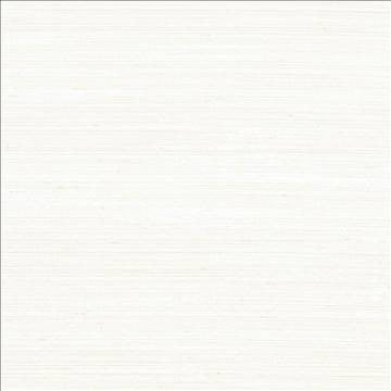Anantara Off White by Kasmir Fabric 5059 100% Polyester INDIA 30,000 Wyzenbeek Double Rubs H: N/A, V: N/A 55 - 56 - Fabric Carolina - Kasmir