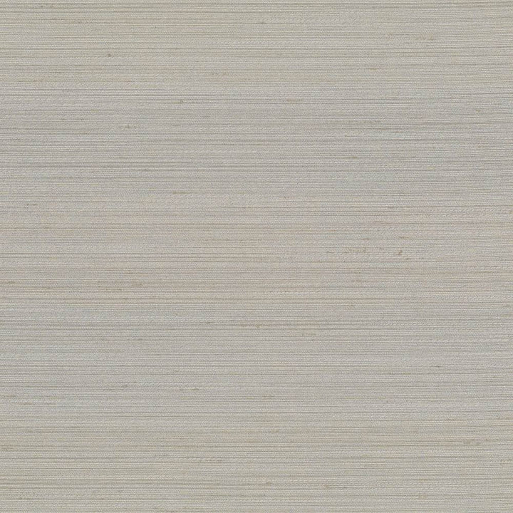 Anantara Pewter by Kasmir Fabric 5059 100% Polyester
 INDIA 30,000 Wyzenbeek Double Rubs Horizontal: N/A and Vertical: N/A 55 - Fabric Carolina -