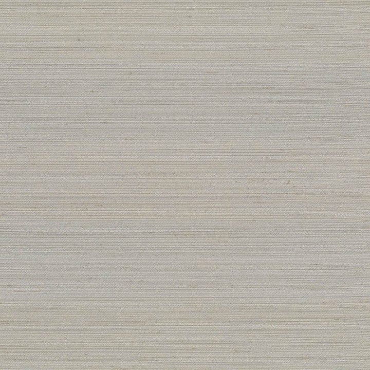 Anantara Pewter by Kasmir Fabric 5059 100% Polyester
 INDIA </p><p>Repeat: Horizontal: N/A and Vertical: N/A 55 - 56 - Fabric Carolina -