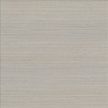 Anantara Pewter by Kasmir Fabric 5059 100% Polyester INDIA 30,000 Wyzenbeek Double Rubs H: N/A, V: N/A 55 - 56 - Fabric Carolina - Kasmir
