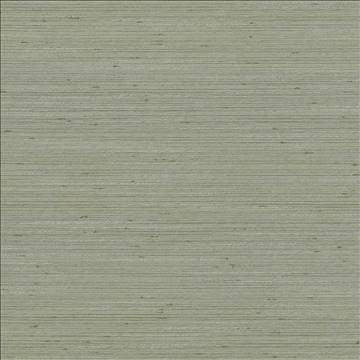 Anantara Silver Sage by Kasmir Fabric 5059 100% Polyester INDIA 30,000 Wyzenbeek Double Rubs H: N/A, V: N/A 55 - 56 - Fabric Carolina - Kasmir