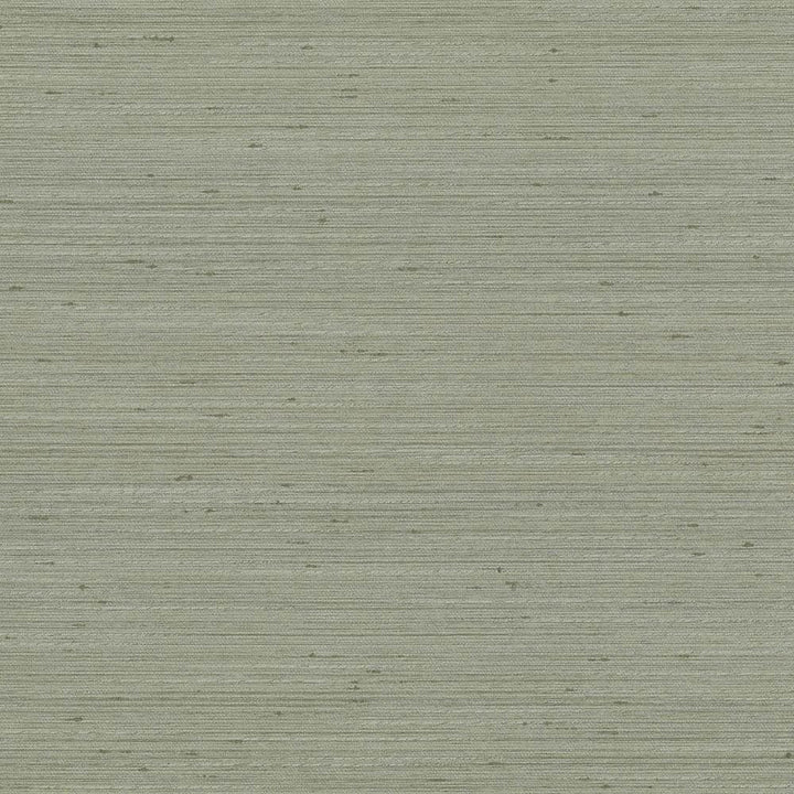 Anantara Silver Sage by Kasmir Fabric 5059 100% Polyester
 INDIA </p><p>Repeat: Horizontal: N/A and Vertical: N/A 55 - 56 - Fabric Carolina -