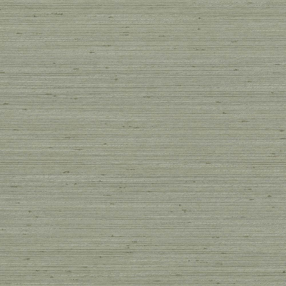 Anantara Silver Sage by Kasmir Fabric 5059 100% Polyester
 INDIA </p><p>Repeat: Horizontal: N/A and Vertical: N/A 55 - 56 - Fabric Carolina -