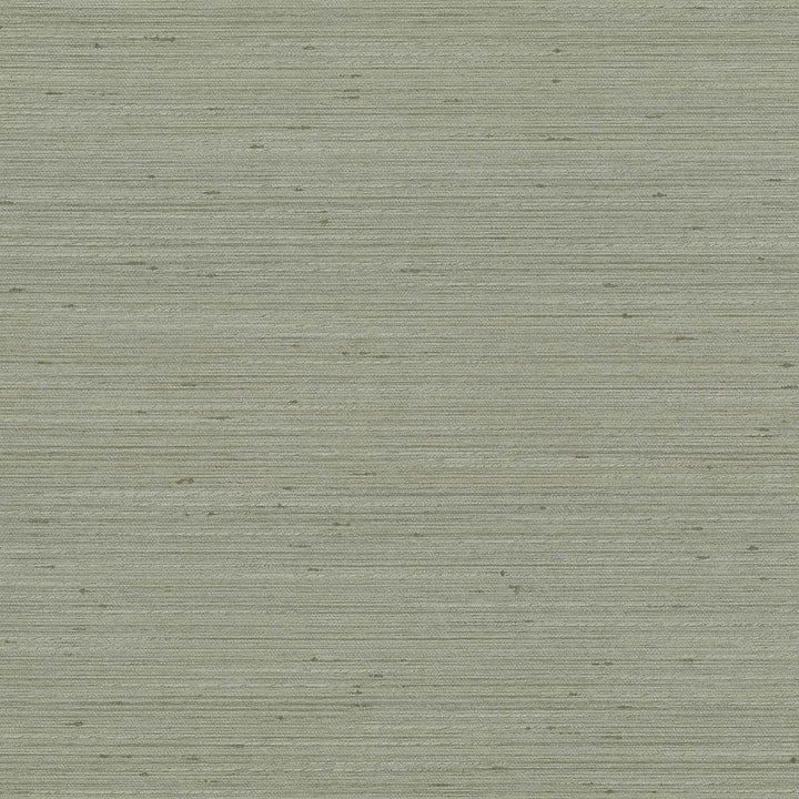 Anantara Silver Sage by Kasmir Fabric 5059 100% Polyester
 INDIA </p><p>Repeat: Horizontal: N/A and Vertical: N/A 55 - 56 - Fabric Carolina -