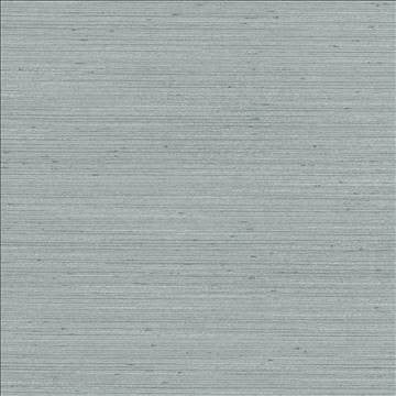 Anantara Steel Blue by Kasmir Fabric 5059 100% Polyester INDIA 30,000 Wyzenbeek Double Rubs H: N/A, V: N/A 55 - 56 - Fabric Carolina - Kasmir