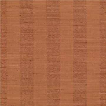 Anantara Stripe Burnt Orange by Kasmir Fabric 5059 100% Polyester INDIA 30,000 Wyzenbeek Double Rubs H: 2 6/8 inches, V: N/A 55 - 56 - Fabric Carolina - Kasmir