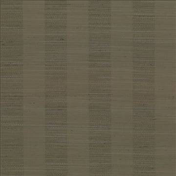 Anantara Stripe Latte by Kasmir Fabric 5059 100% Polyester INDIA 30,000 Wyzenbeek Double Rubs H: 2 6/8 inches, V: N/A 55 - 56 - Fabric Carolina - Kasmir