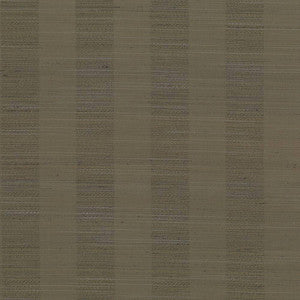 Anantara Stripe Latte by Kasmir Fabric