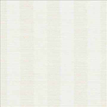 Anantara Stripe Linen by Kasmir Fabric 5059 100% Polyester INDIA 30,000 Wyzenbeek Double Rubs H: 2 6/8 inches, V: N/A 55 - 56 - Fabric Carolina - Kasmir