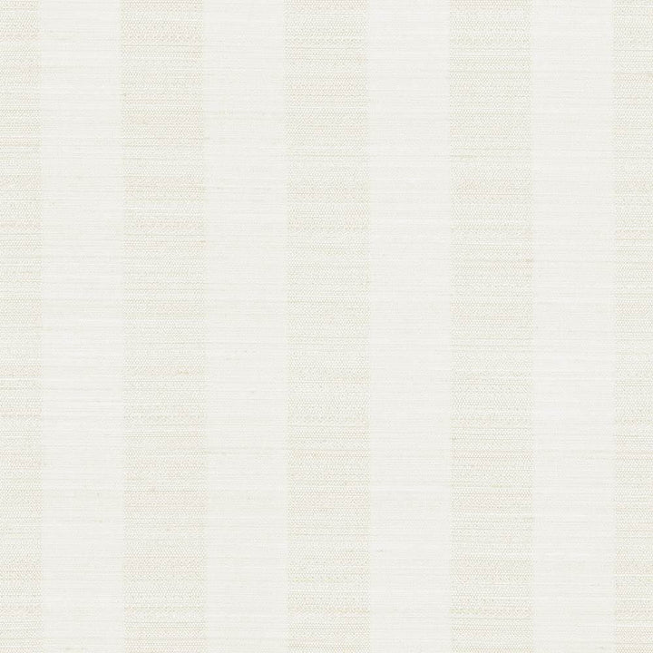Anantara Stripe Linen by Kasmir Fabric 5059 100% Polyester INDIA 30,000 Wyzenbeek Double Rubs Horizontal: 2 6/8 inches and Vertical: 0 Inches 55 - 56 - Fabric Carolina -
