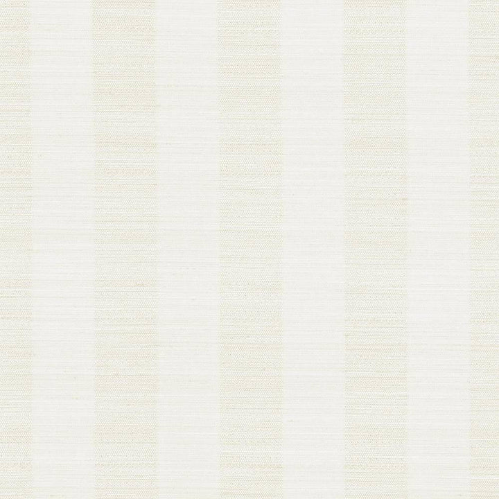 Anantara Stripe Linen by Kasmir Fabric 5059 100% Polyester INDIA 30,000 Wyzenbeek Double Rubs H: 2 6/8 inches, V:N/A 55 - 56 - Fabric Carolina - Kasmir