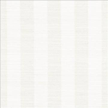 Anantara Stripe Off White by Kasmir Fabric 5059 100% Polyester INDIA 30,000 Wyzenbeek Double Rubs H: 2 6/8 inches, V: N/A 55 - 56 - Fabric Carolina - Kasmir
