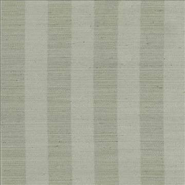 Anantara Stripe Silver Sage by Kasmir Fabric 5059 100% Polyester INDIA 30,000 Wyzenbeek Double Rubs H: 2 6/8 inches, V: N/A 55 - 56 - Fabric Carolina - Kasmir