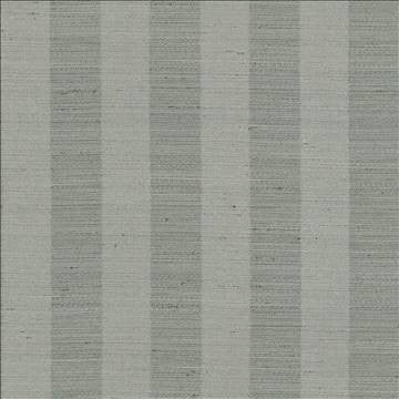 Anantara Stripe Taupe by Kasmir Fabric 5059 100% Polyester INDIA 30,000 Wyzenbeek Double Rubs H: 2 6/8 inches, V: N/A 55 - 56 - Fabric Carolina - Kasmir