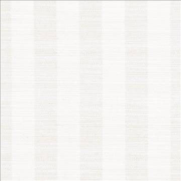 Anantara Stripe Winter White by Kasmir Fabric 5059 100% Polyester INDIA 30,000 Wyzenbeek Double Rubs H: 2 6/8 inches, V: N/A 55 - 56 - Fabric Carolina - Kasmir