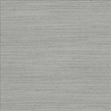 Anantara Taupe by Kasmir Fabric 5059 100% Polyester INDIA 30,000 Wyzenbeek Double Rubs H: N/A, V: N/A 55 - 56 - Fabric Carolina - Kasmir
