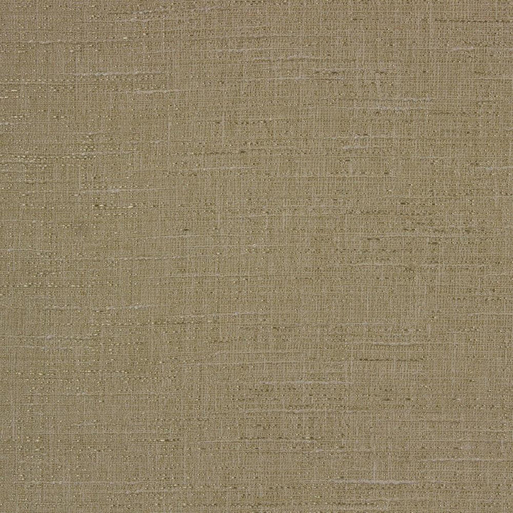 Andes Moss Richloom