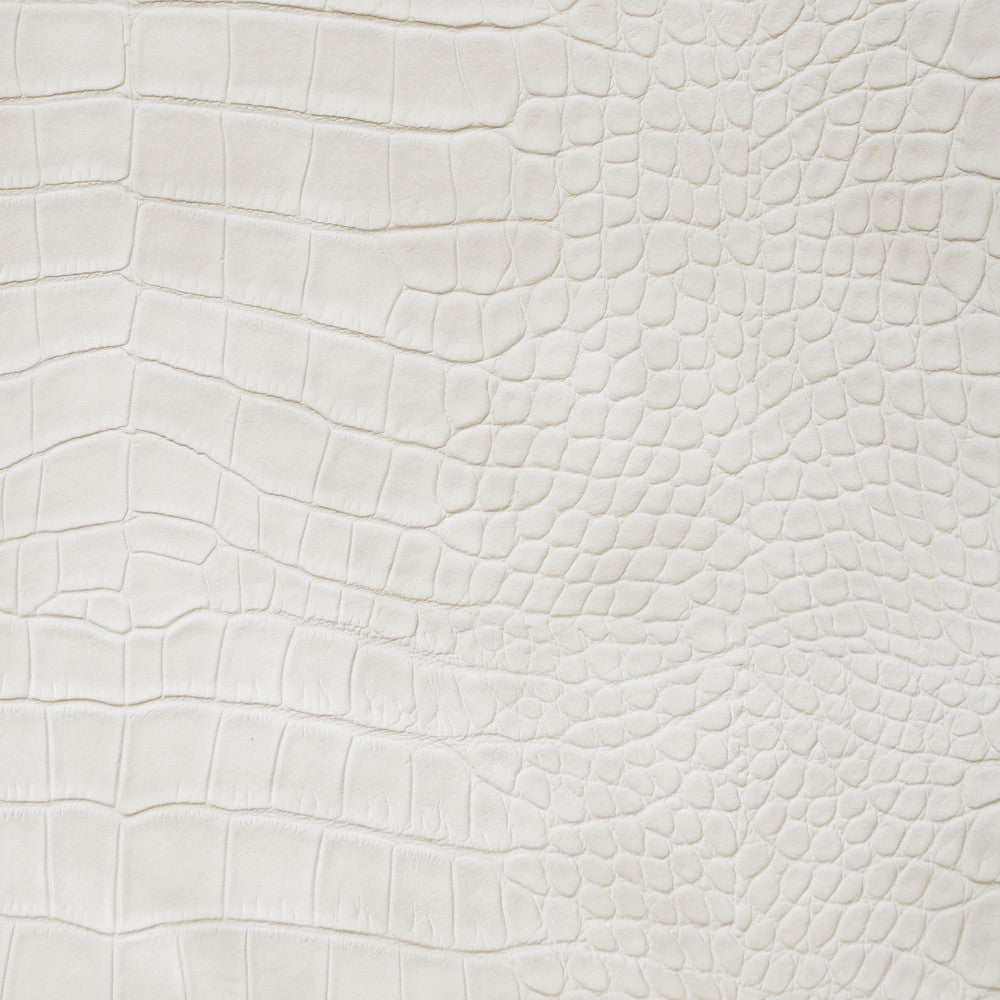 Kravet Design Ankora-1 by Kravet Design Fabric