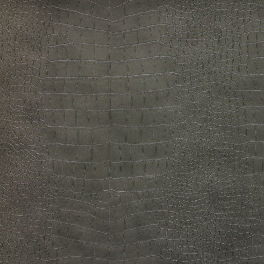 Kravet Design Ankora-21 by Kravet Design Fabric