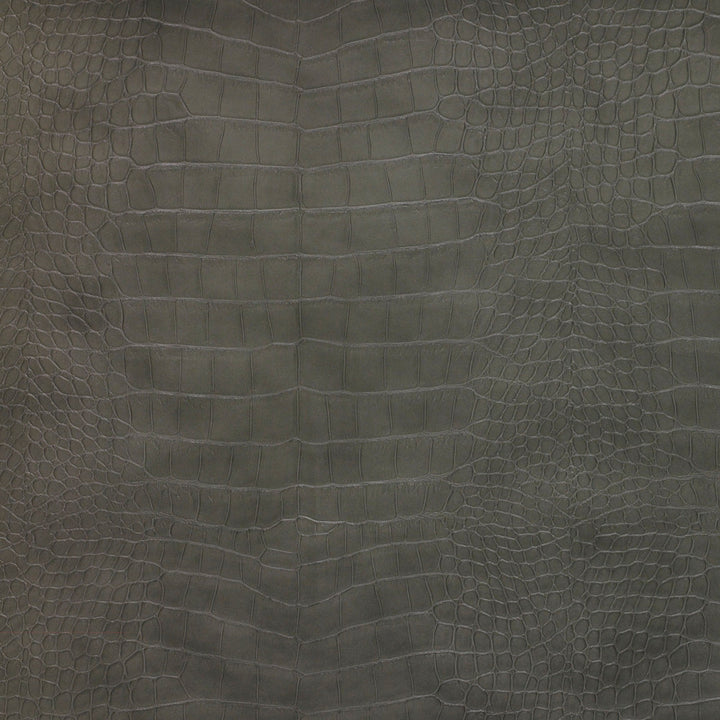 Kravet Design Ankora-21 by Kravet Design Fabric