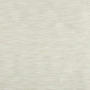 Kravet Basics 8813-1011 by Kravet Basics Fabric