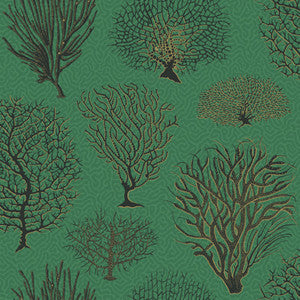 Seafern Emerald by Cole & Son Wallcovering