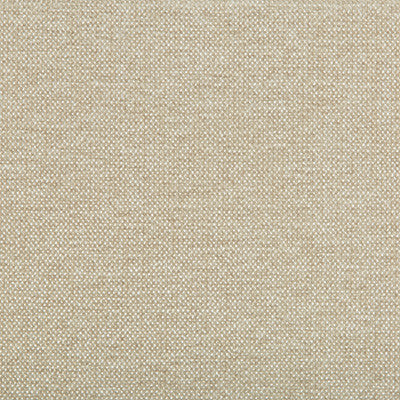 Kravet Smart 35393-116 by Kravet Smart Fabric