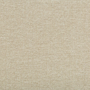 Kravet Smart 35393-116 by Kravet Smart Fabric