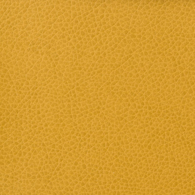 Kravet Basics Matter-414 by Kravet Basics Fabric