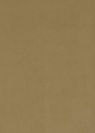 Milborne Bronze by Baker Lifestyle Fabric