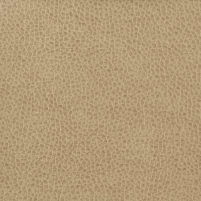 Kravet Basics Matter-1616 by Kravet Basics Fabric