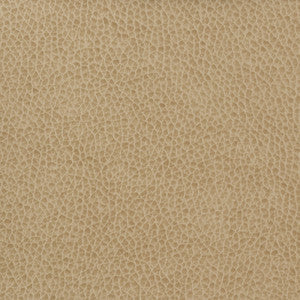 Kravet Basics Matter-1616 by Kravet Basics Fabric