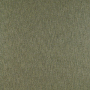 Chamberi Verde by Gaston Y Daniela Fabric