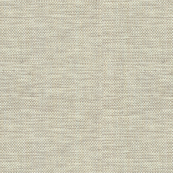 Kravet Basics 30299-106 by Kravet Basics Fabric