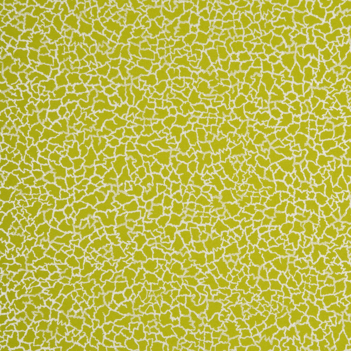 Ming Lime/Silver by Baker Lifestyle Wallpaper