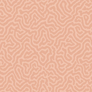 Coral Salmon by Cole & Son Wallcovering