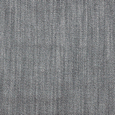 Victoria Plomo/Lino by Gaston Y Daniela Fabric