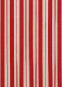 Tango Ticking Red by Baker Lifestyle Fabric