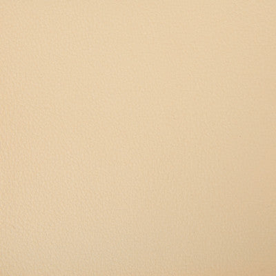 Kravet Contract Berta-16 by Kravet Contract Fabric