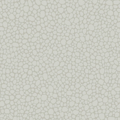 Pebble Pale Grey by Cole & Son Wallcovering