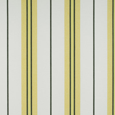 Burano Onyx/Amarillo by Gaston Y Daniela Fabric
