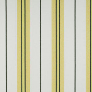 Burano Onyx/Amarillo by Gaston Y Daniela Fabric