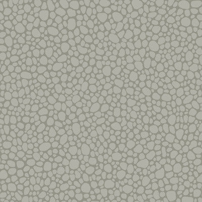 Pebble Grey by Cole & Son Wallcovering