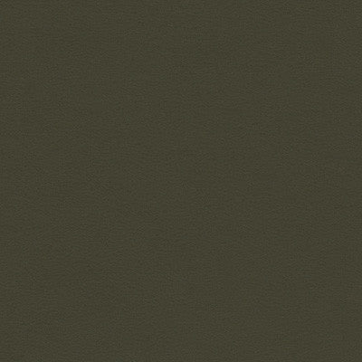Kravet Contract Berta-21 by Kravet Contract Fabric
