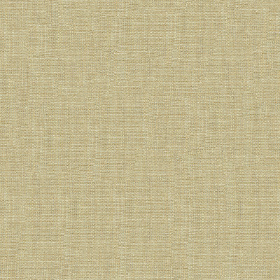 Kravet Contract 4161-1116 by Kravet Contract Fabric
